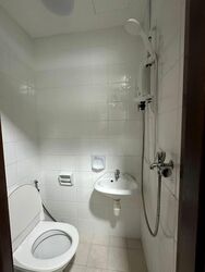Sanctuary Green (D15), Condominium #608464961